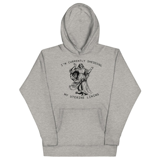 I'm Currently Shedding Hoodie